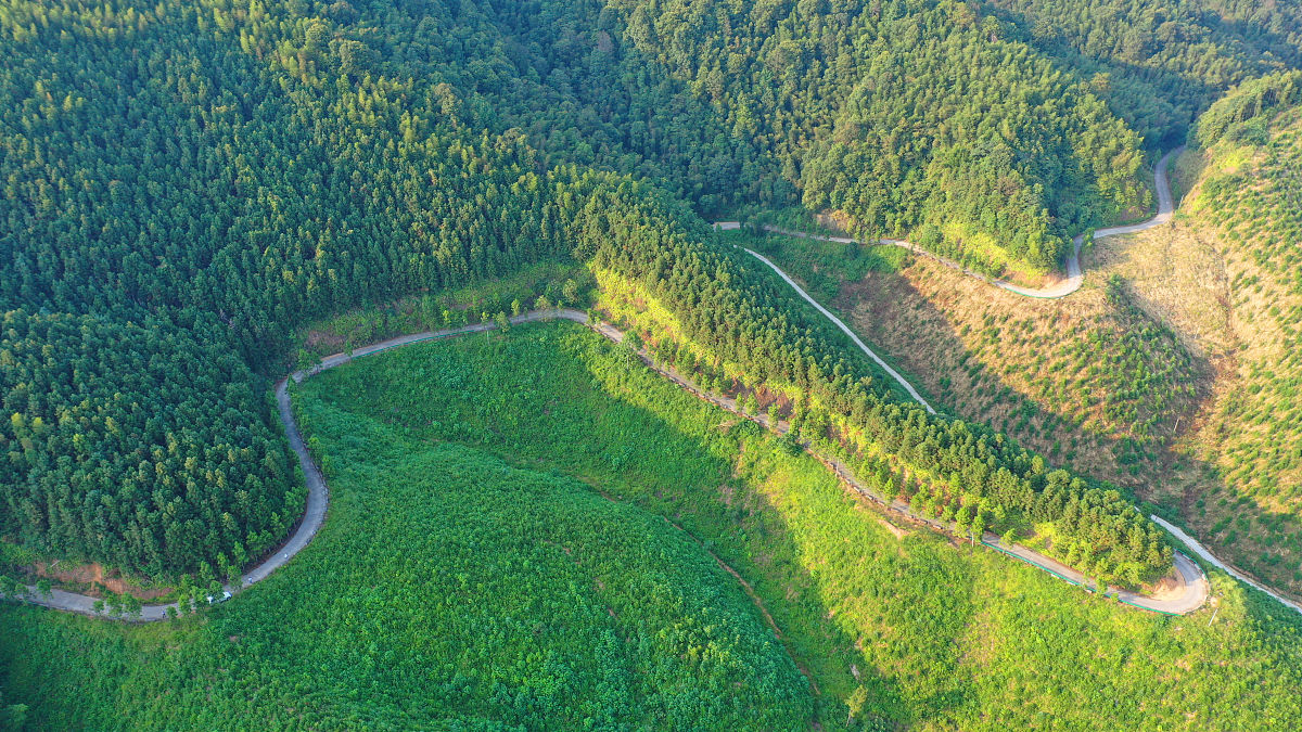乡村振兴上半年工作总结提纲：全面推进，取得显著成效