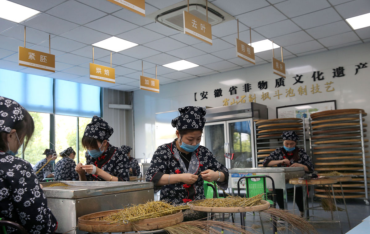 2019年8月23日,工作人员在安徽省六安市霍山石斛文化产业园霍山石斛枫