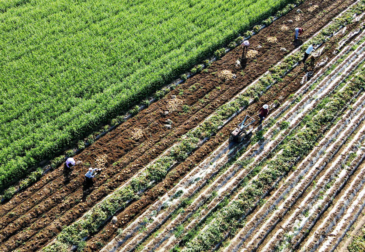 一季度农业农村工作