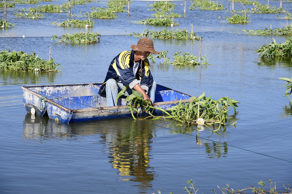 威海市水产学校3+2大专2023年有哪些专业