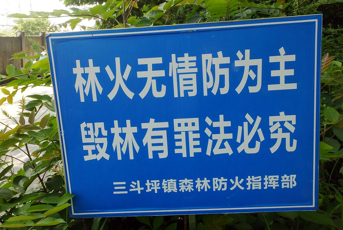 森林防火：预防与扑救措施 - 保护生态环境