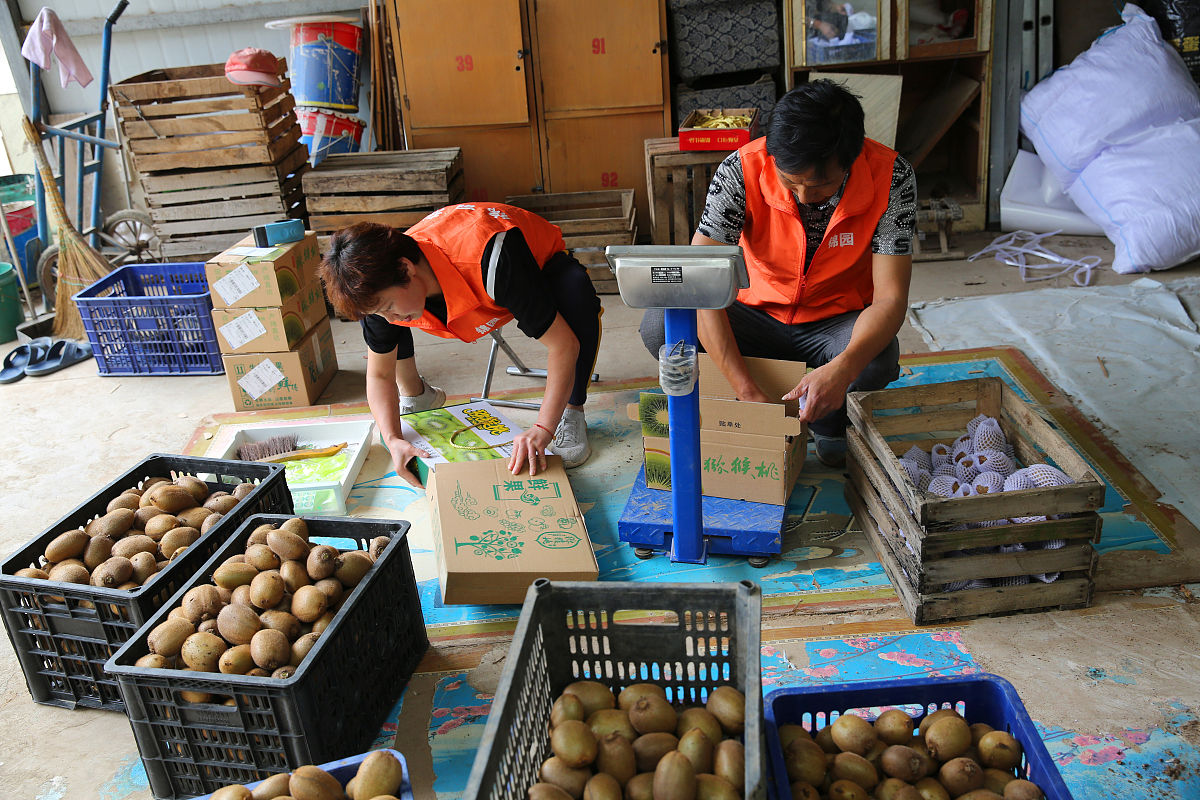学习重要吗？我与手机之间的拉扯