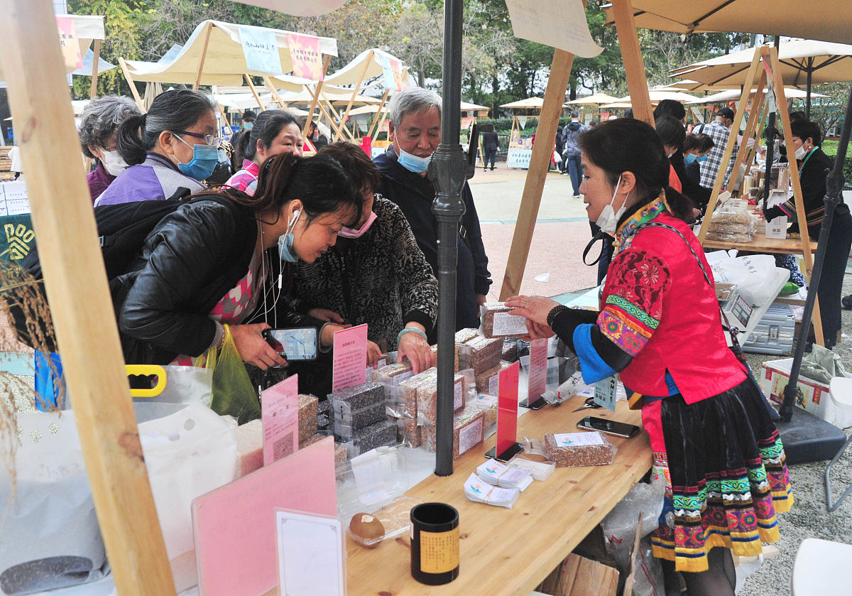 长三角一体化发展