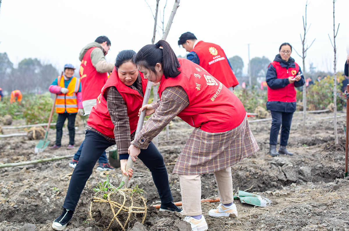 三下乡 心得体会