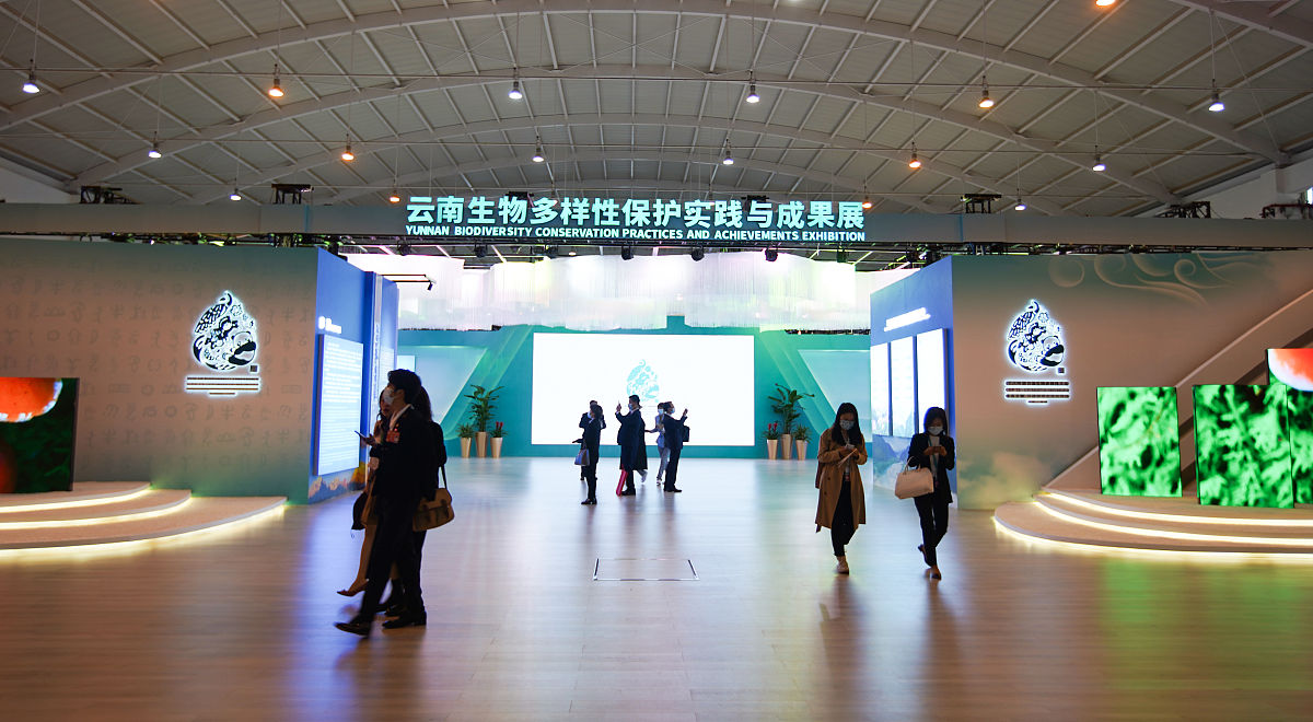 云南经贸外事学校法律事务专业招生：培养法律人才，开拓国际视野