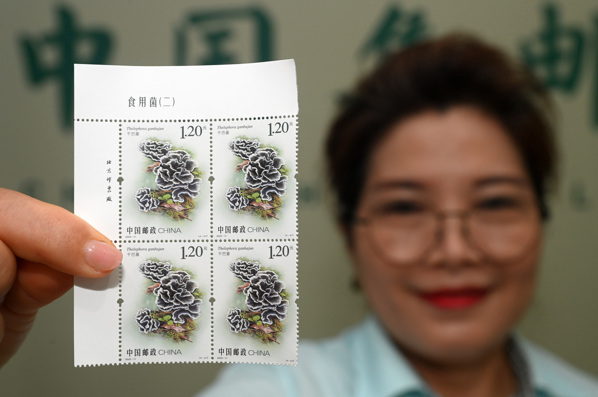 收集邮票30年。最珍贵的邮票是猴票。保存邮票需要套塑料带。我喜欢收集古典名著。多次参加邮票交流会。魅力就是通过邮票了解历史和地里