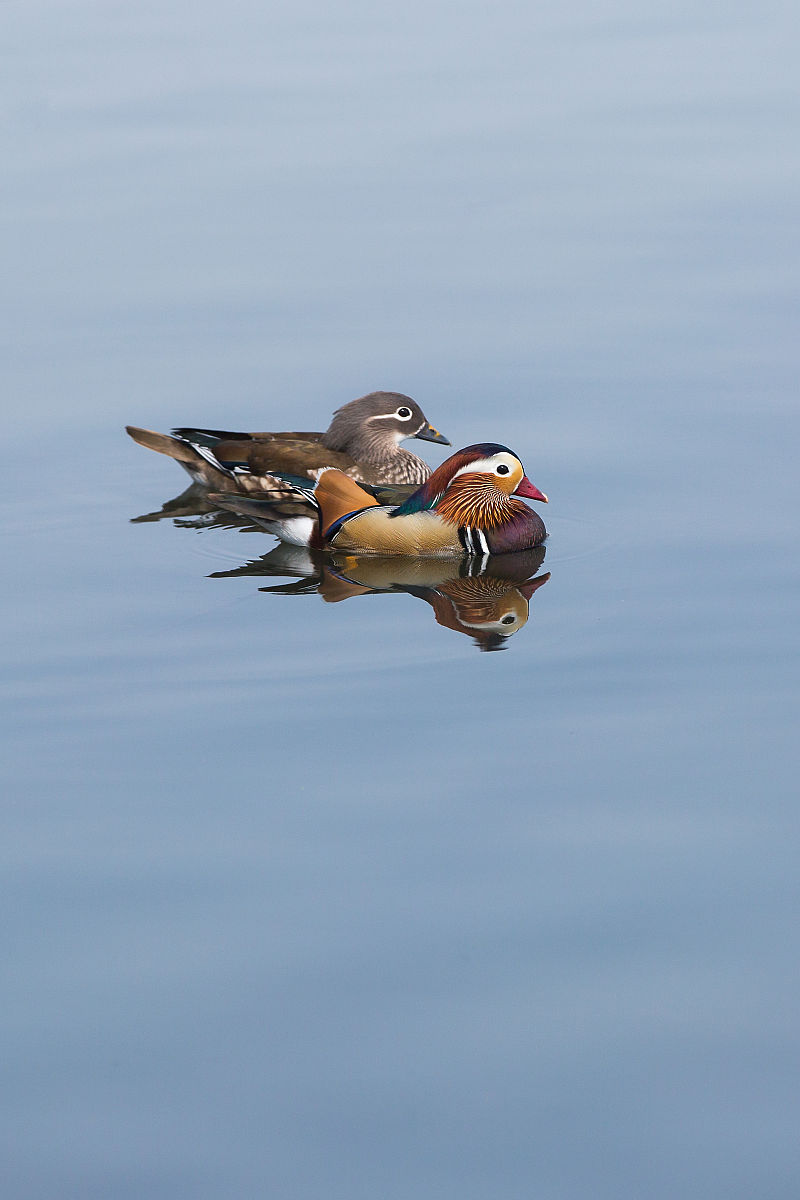 印台区职业技术学校水暖管道好不好？有什么招生要求