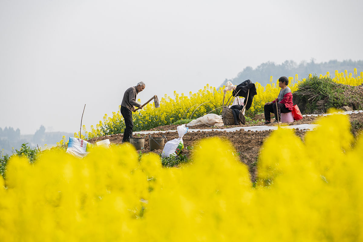 阆中机电职业学校2022年招生专业及要求 - 机电类人才培养的摇篮