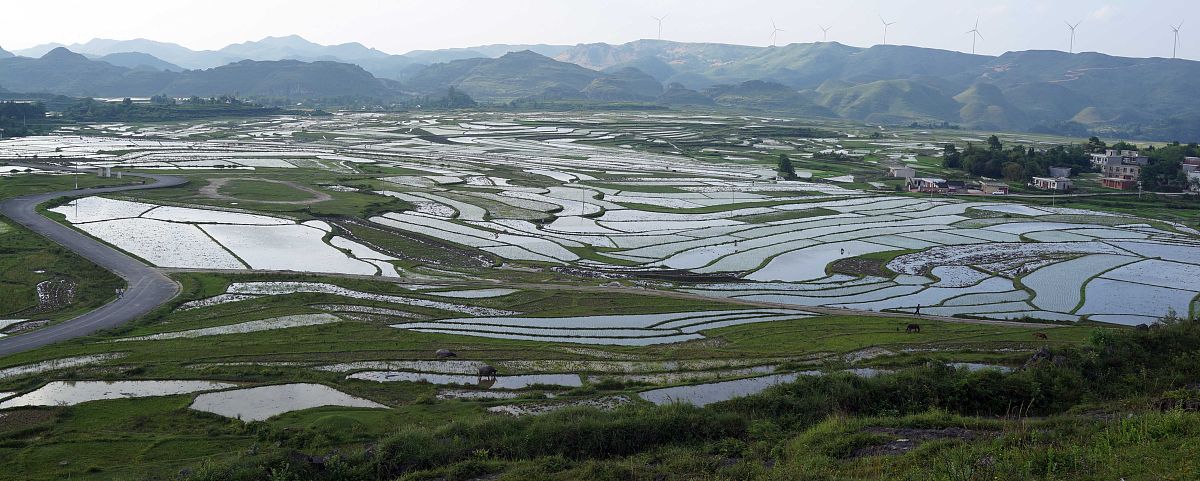 关于大中小劳动教育实践基地建设方面的内容除了申报之外后续的管理是由哪些部门直接管理呢