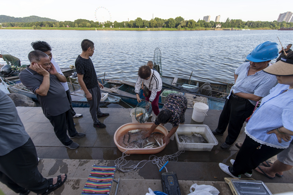 水产动物疾病防控：比较人、畜牧和水产动物生活特性