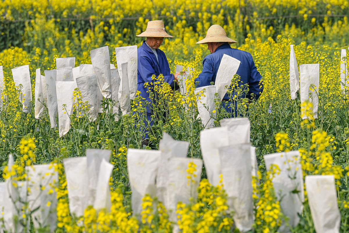 合肥2022年中专学校排行榜-怎么样