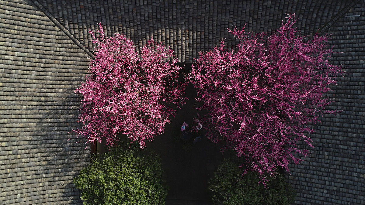 南充外国语中等专业学校护理专业招生