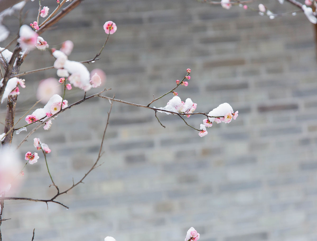 你是一位中国诗人请帮我写一首暮春的雪的古体诗
