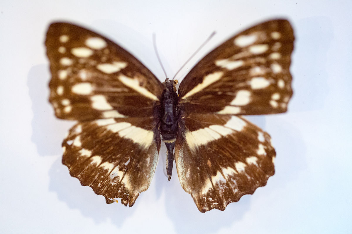 科普旅游从业者培训课程提升科普传播：论文建议