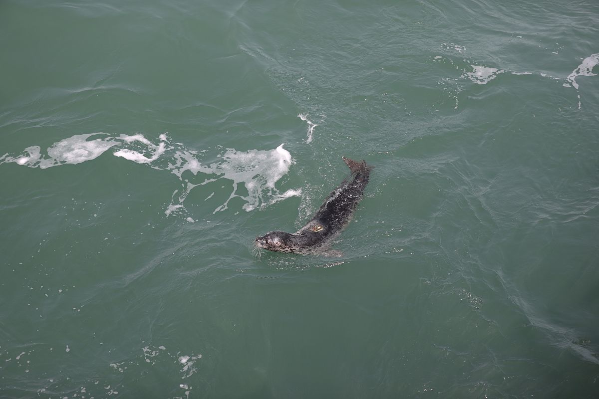 大连海洋学校2022年怎么样？