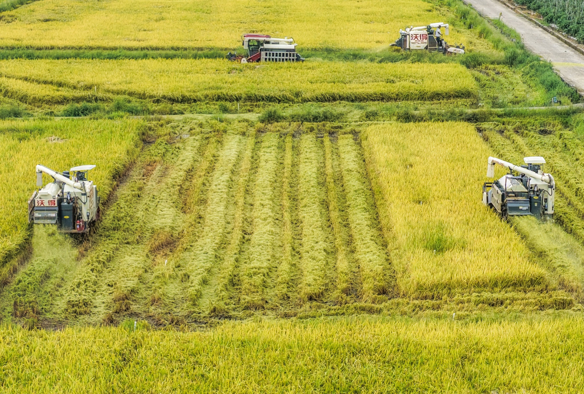 农业对国家发展的重要性：保障粮食安全，促进经济繁荣