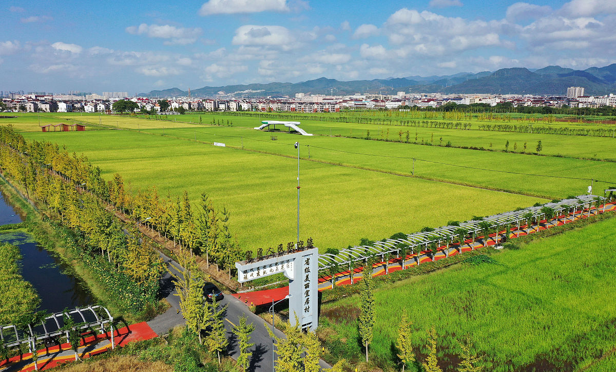 未来乡村建设指导意见解读：新时期乡村发展方向