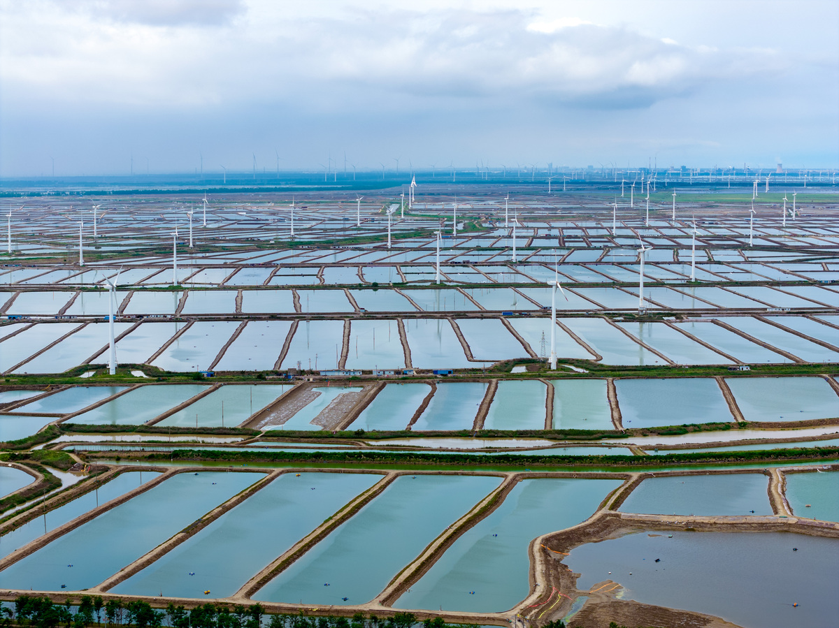 淡水养殖专业好不好