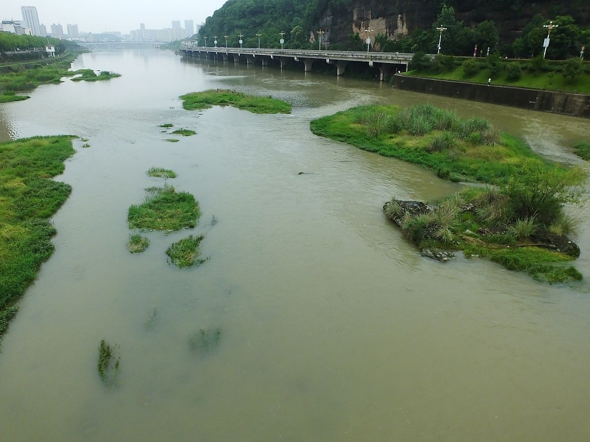 请写一篇关于河道治理的论文大纲