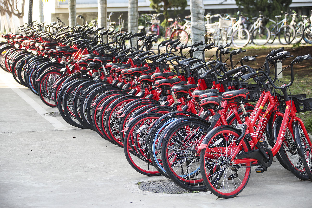 写一篇在校园内把乱摆乱放的共享单车整理归放到专门停车点的社会实践活动的心得。重点谈谈自己从中学到了什么具体展开说说