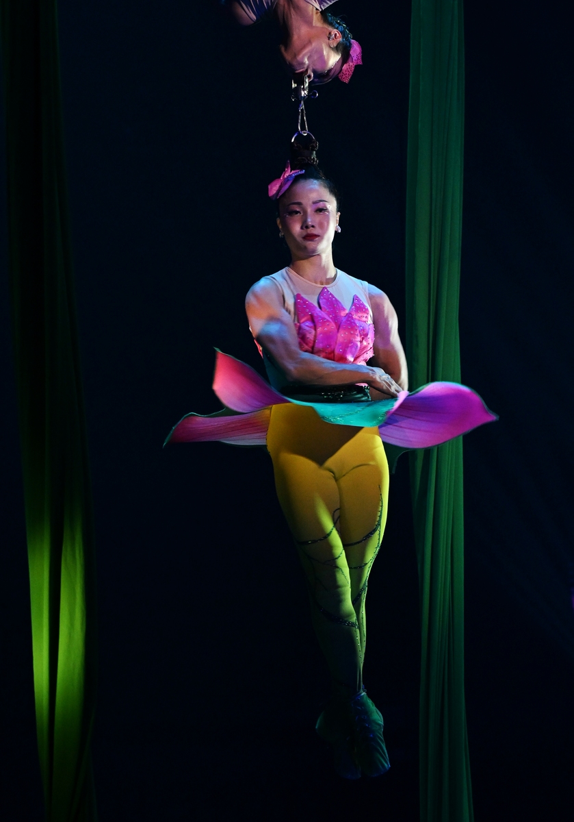 小学一年级舞蹈教学计划10周 - 培养孩子音乐感和艺术表现力