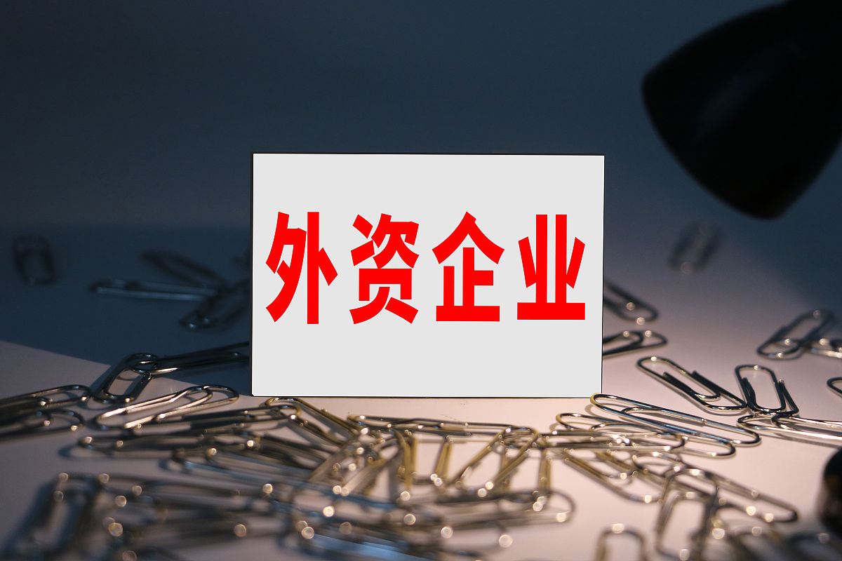 个人独资企业：成立简便，风险自担 - 创业选择指南