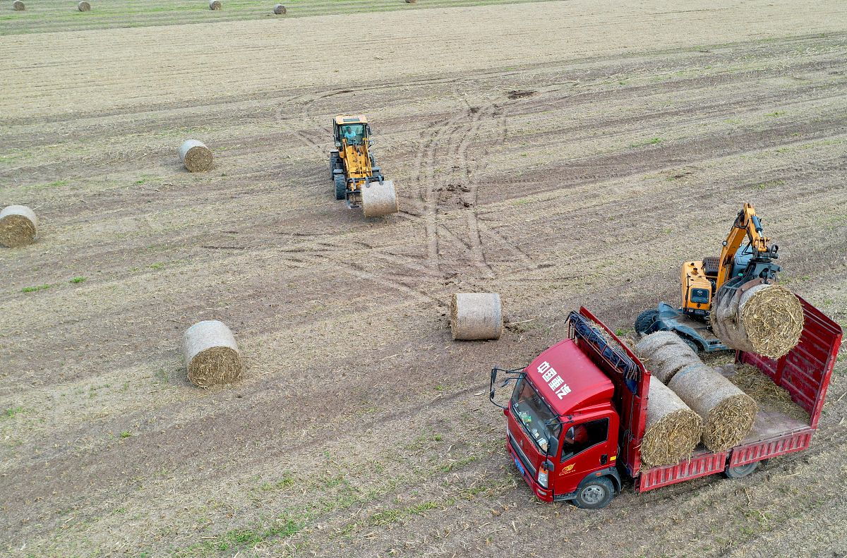 安徽亳州机电信息工程学校2021年招生简章