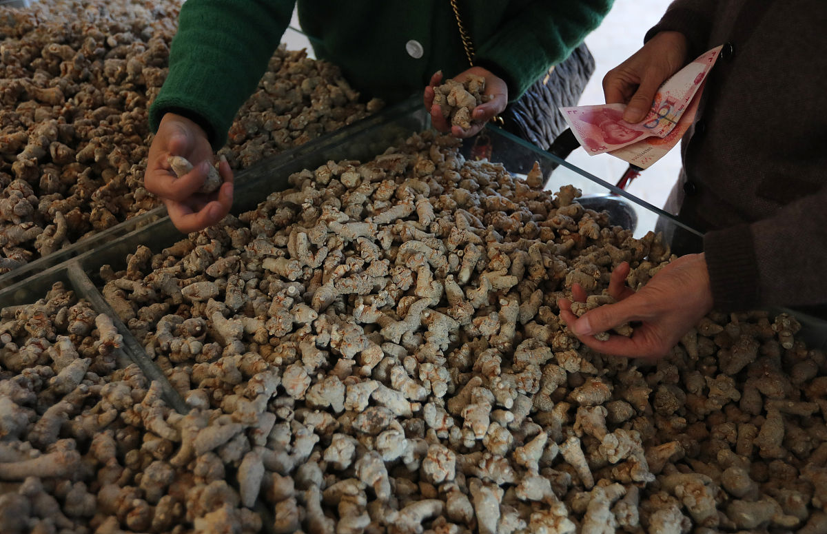 文山三七的经济发展