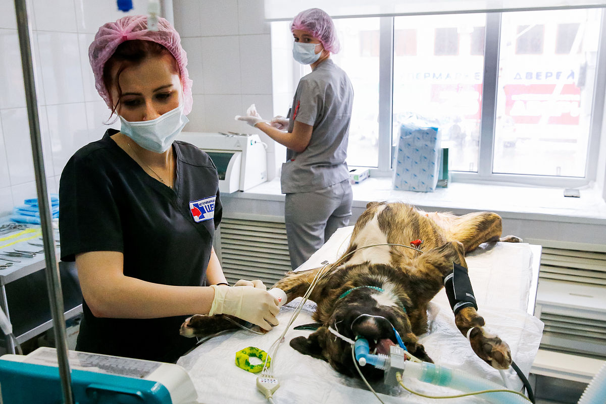 大连大学医学院招生网站是哪个怎么样