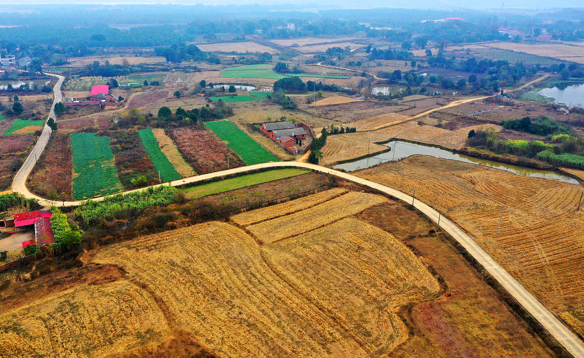 乡村振兴：唤醒乡村的无限可能