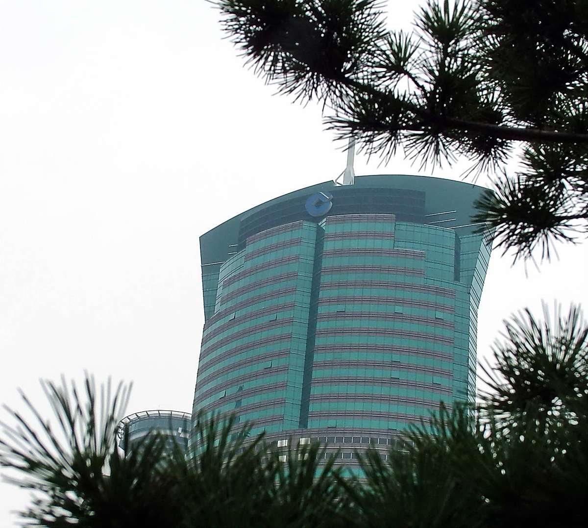龙岩市政府服务热线大全：快速联系政府部门