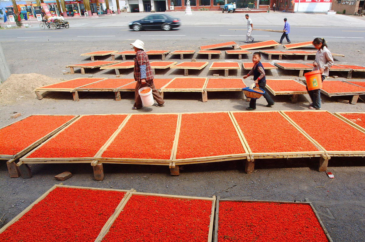 进货宁夏枸杞到柬埔寨需要什么