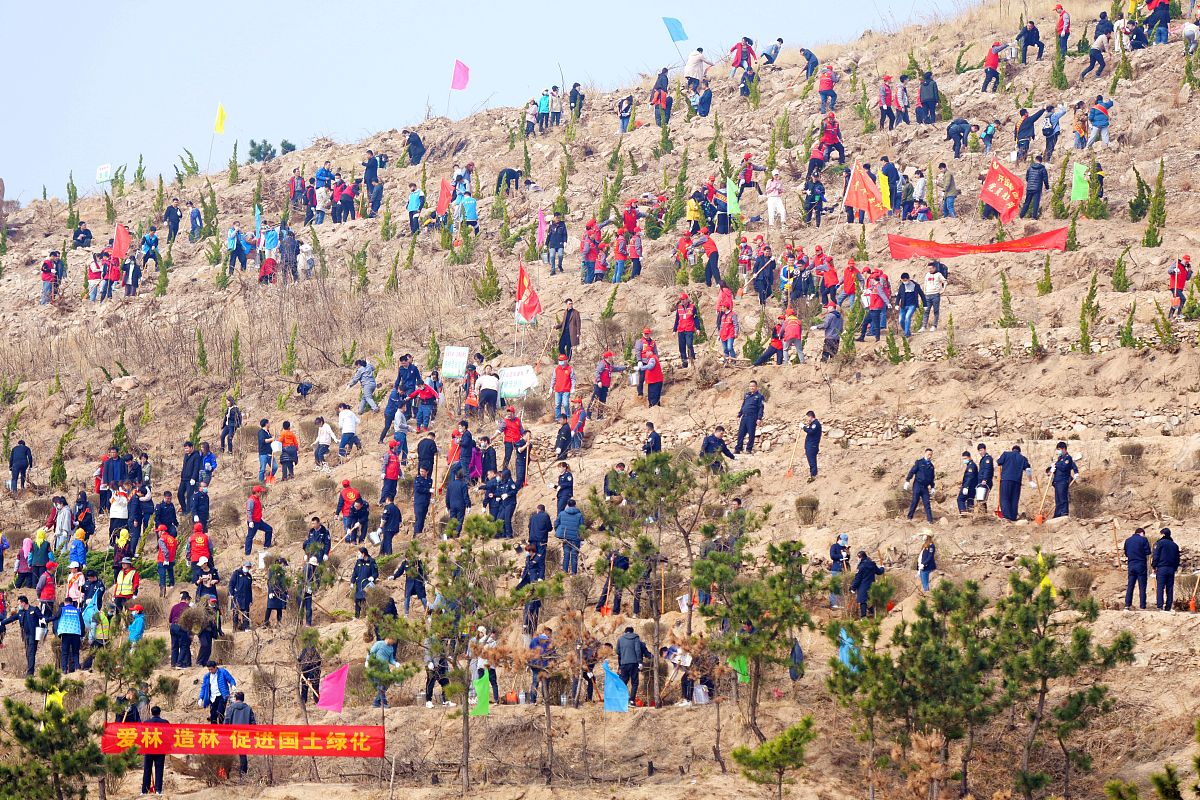 2021年3月13日,山东青岛西海岸新区灵山卫街道开山口村,市民参加植树