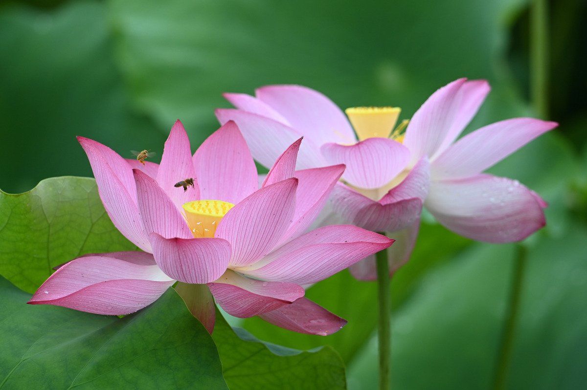 四川省内江医科学校招生简介