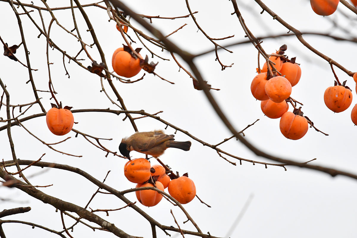 贵阳2022年有什么中专学校就业比较好