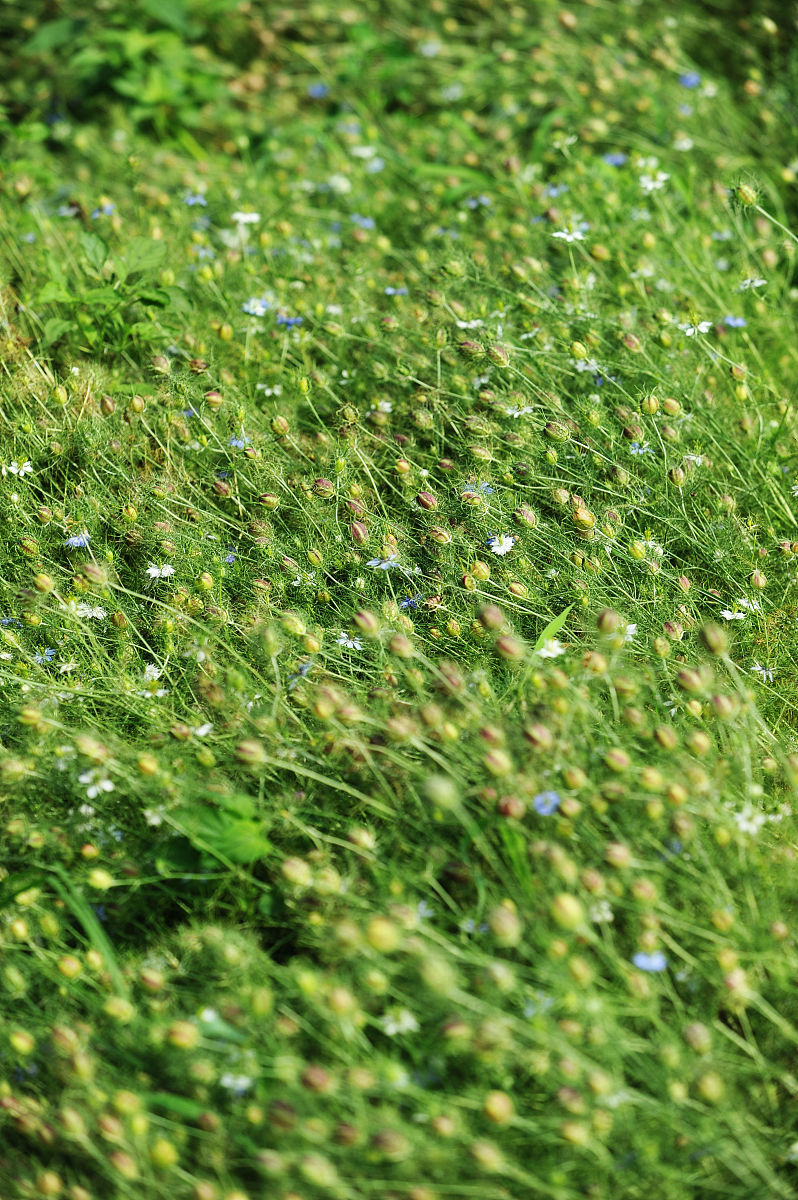曲靖市农业中等学校2019年五年制大专重点特色招生专业