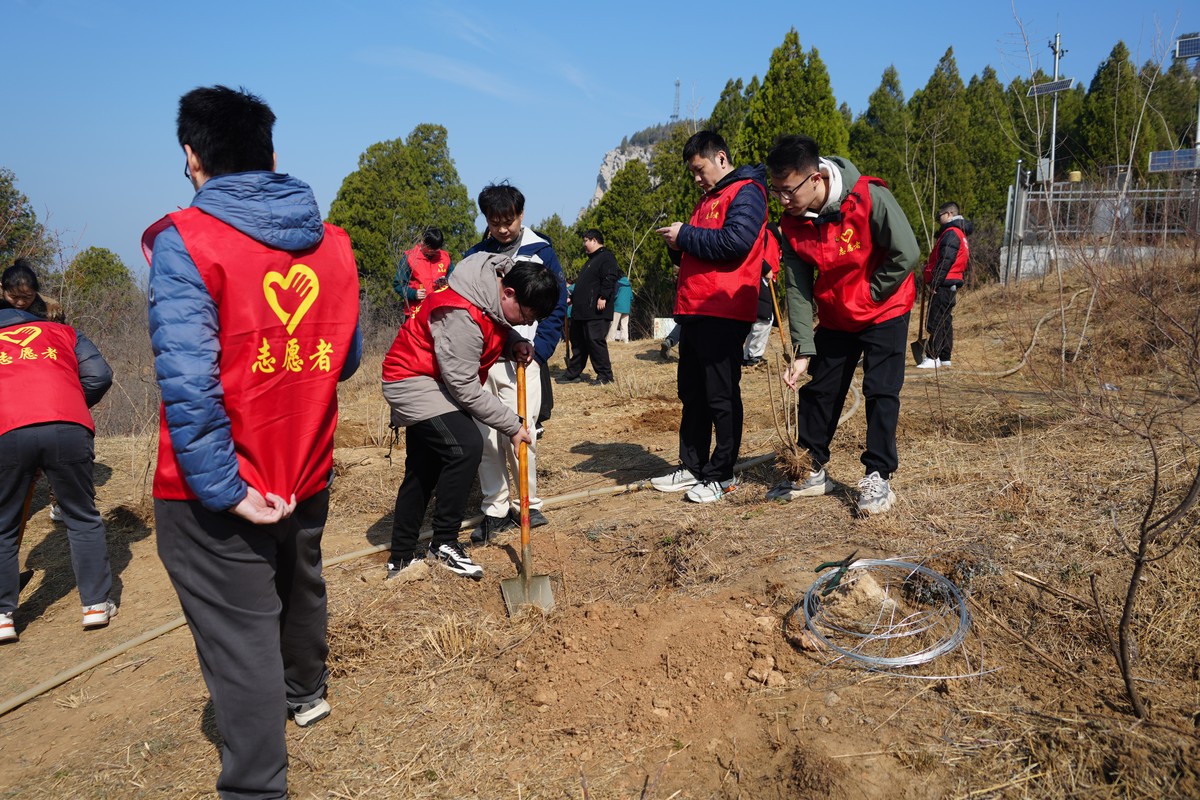 2026年3月12日,济南,青年志愿者在佛慧山开展义务植树