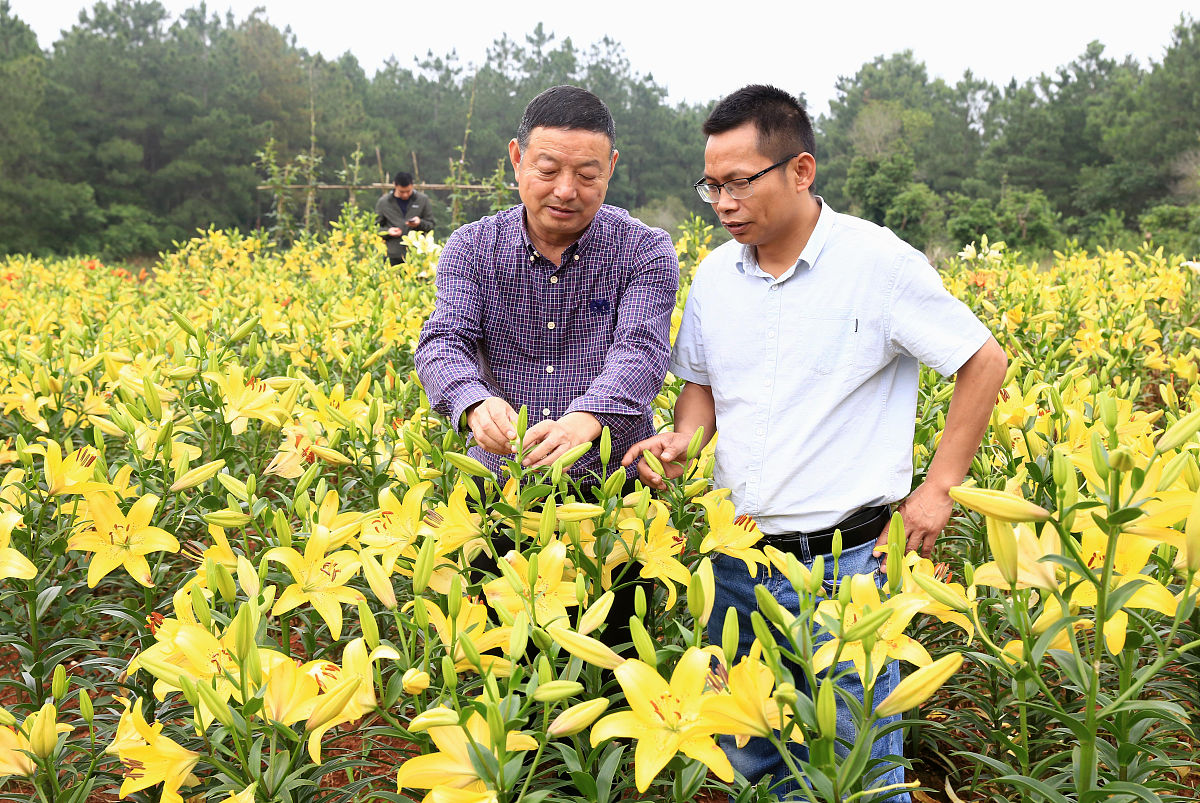 武邑奋飞职业技术中等专业学校2021年招生条件及培养方案