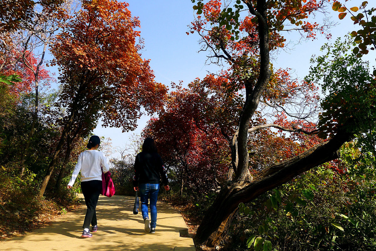 南亚高压和河南省夏季降水的关系有哪些？请列举