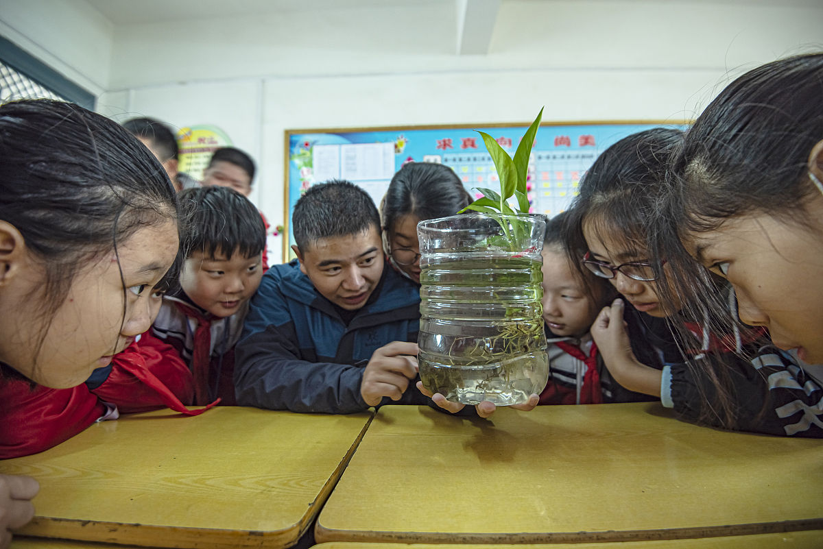 规律的客观性：规律是客观存在吗？