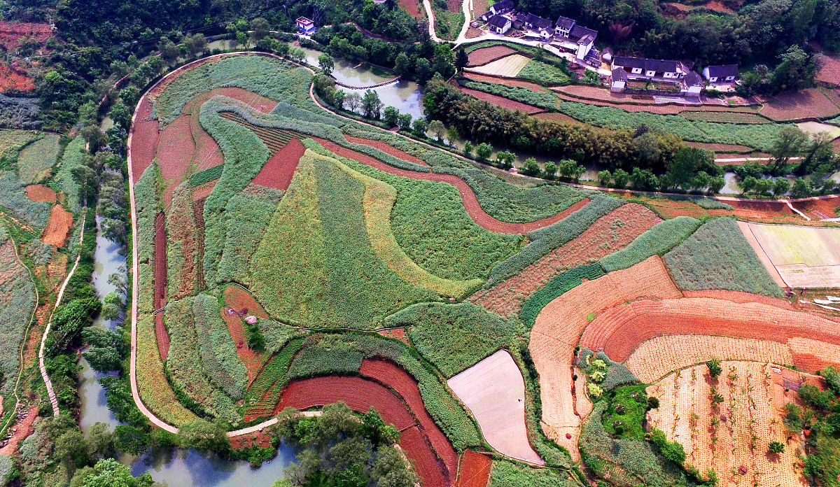 乡村振兴中国行纪录片学习心得总结