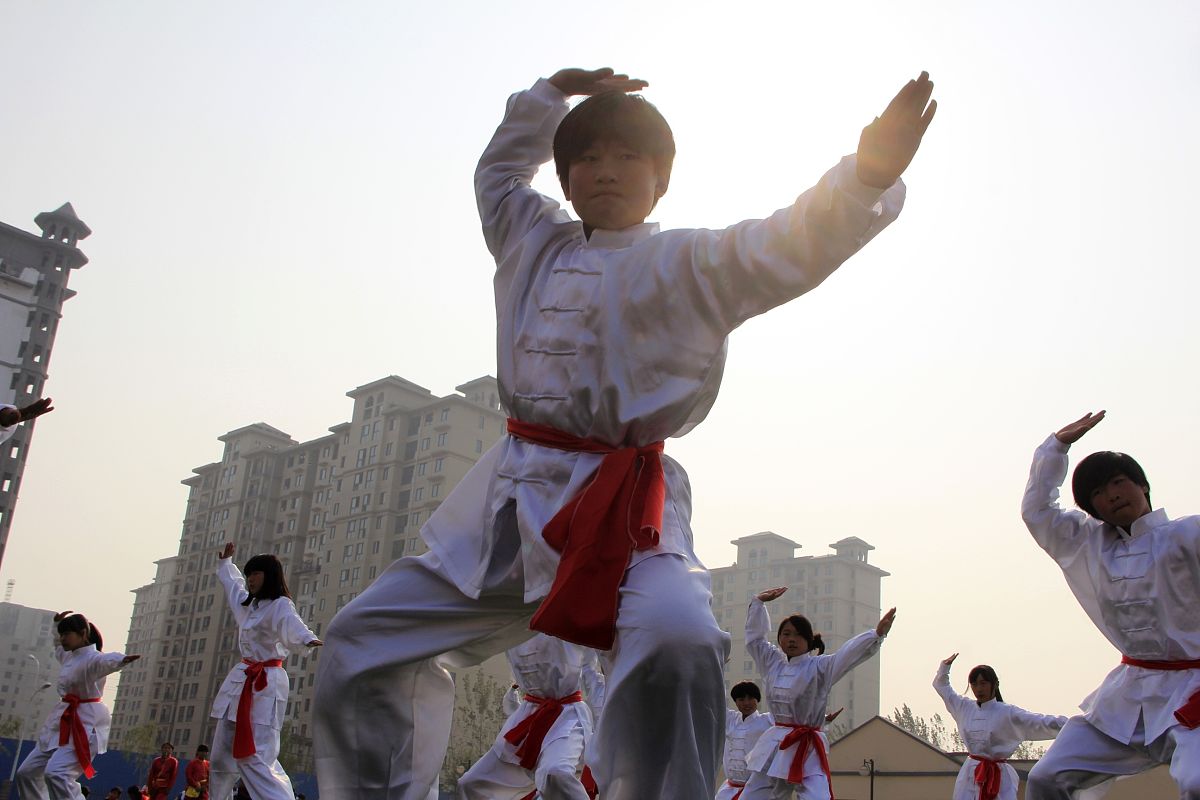 中国武术：历史沿革、发展现状与未来展望