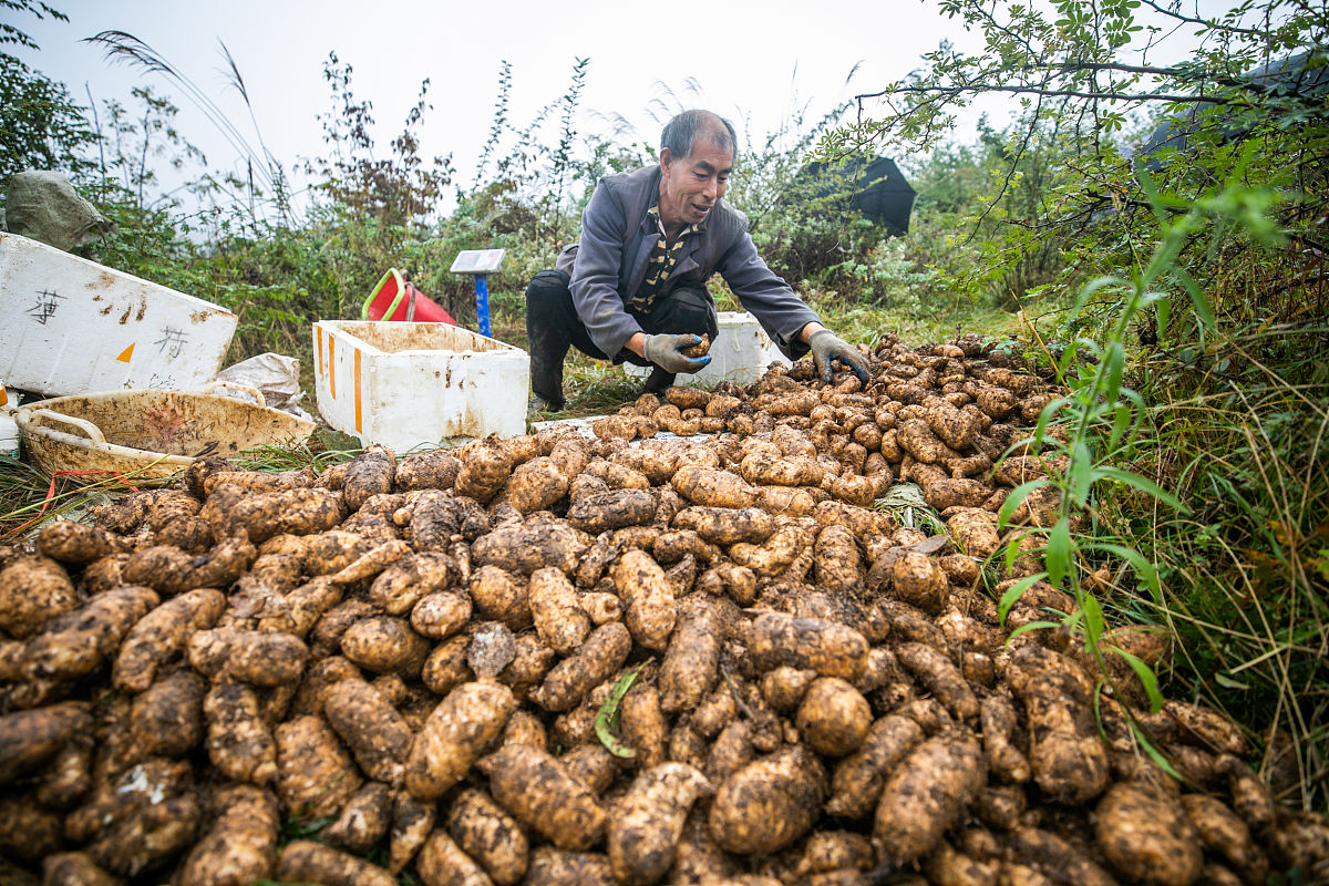 2020年贵州省毕节幼儿师范高等专科学校中职部毕节幼师学校招生简介