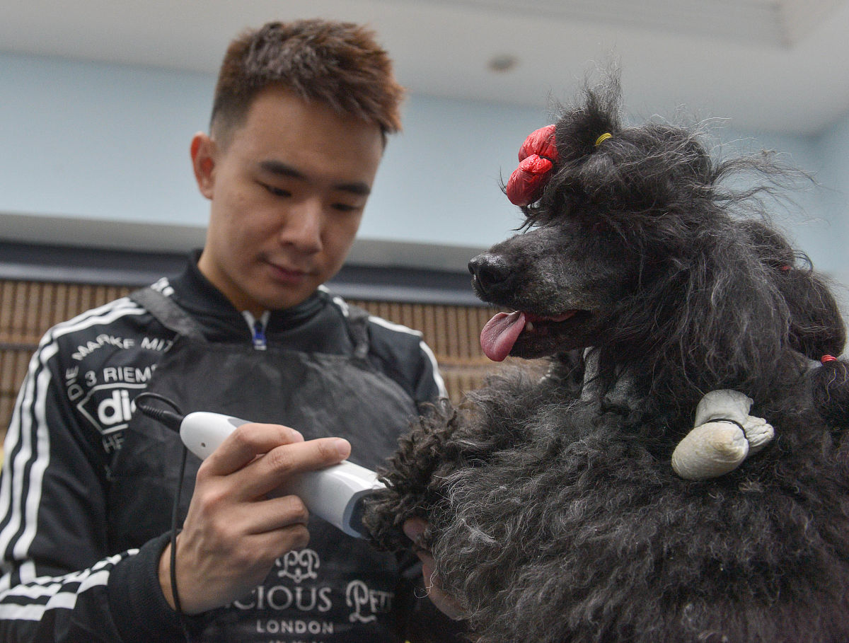 3+5等于多少？ - 简单数学运算