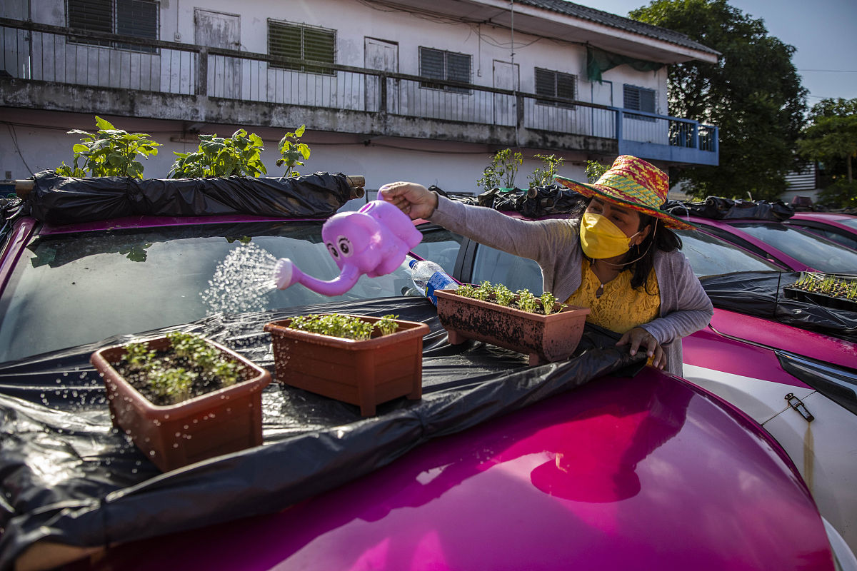 苏州大学新建宿舍的对周边的影响