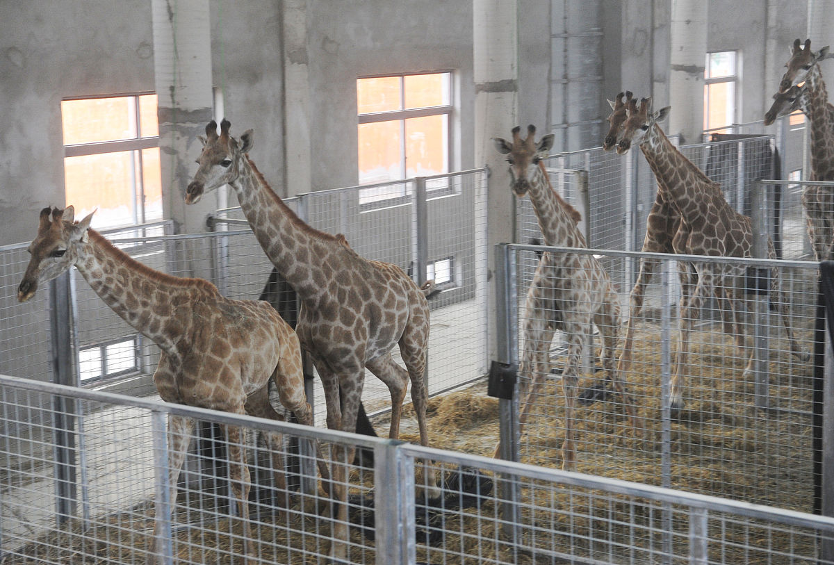 2021阜阳工商贸易学校好不好？