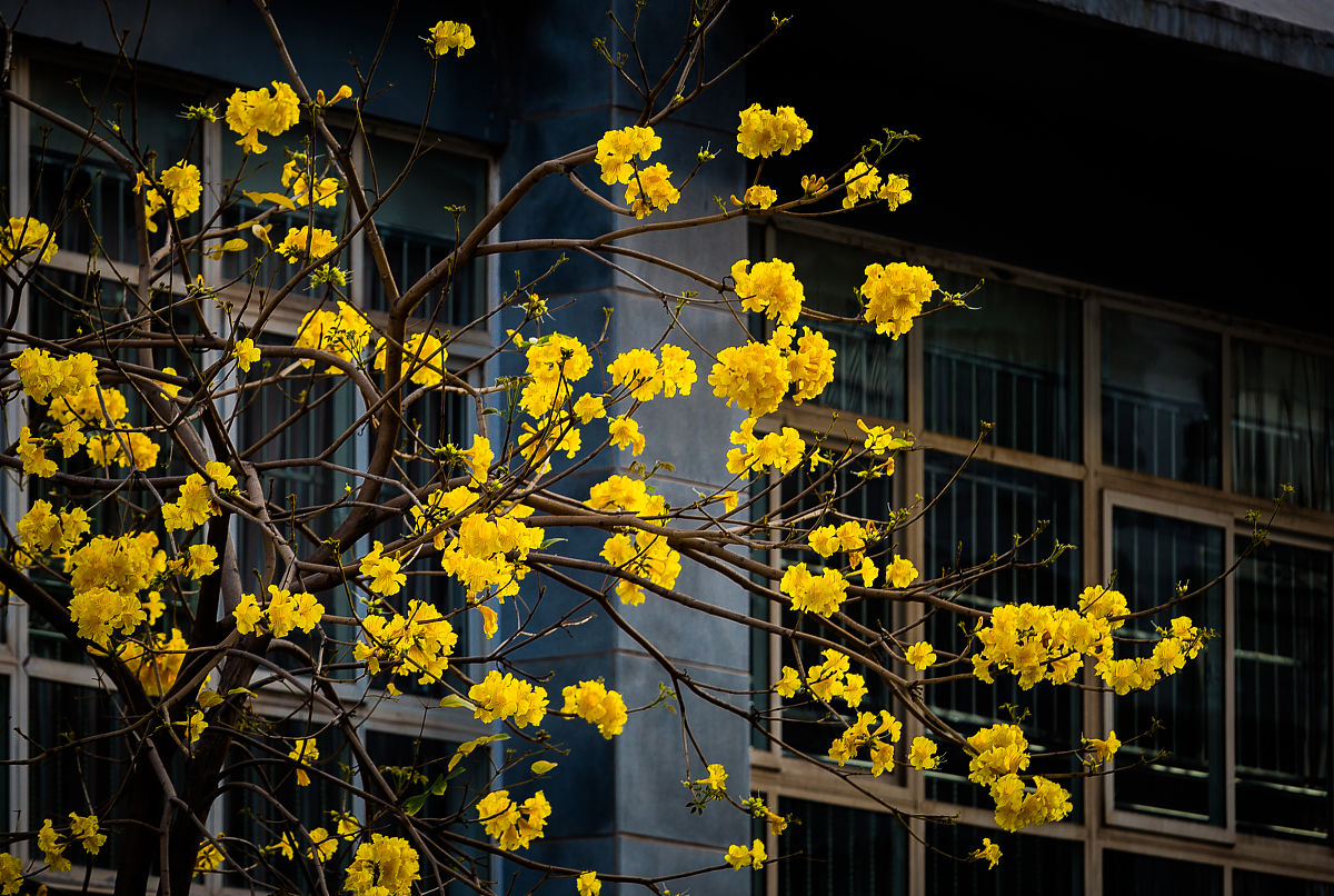 西昌职高学校招生进展如何了用