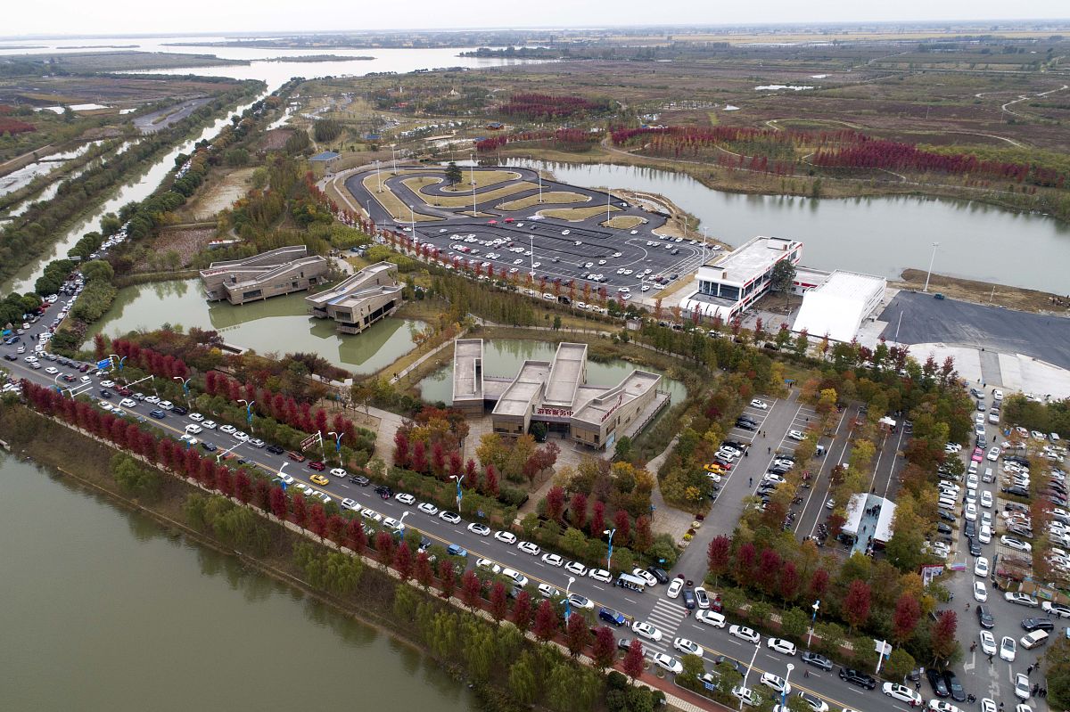 以陶辛镇陶辛水韵为主要内容写一份总体服务方案