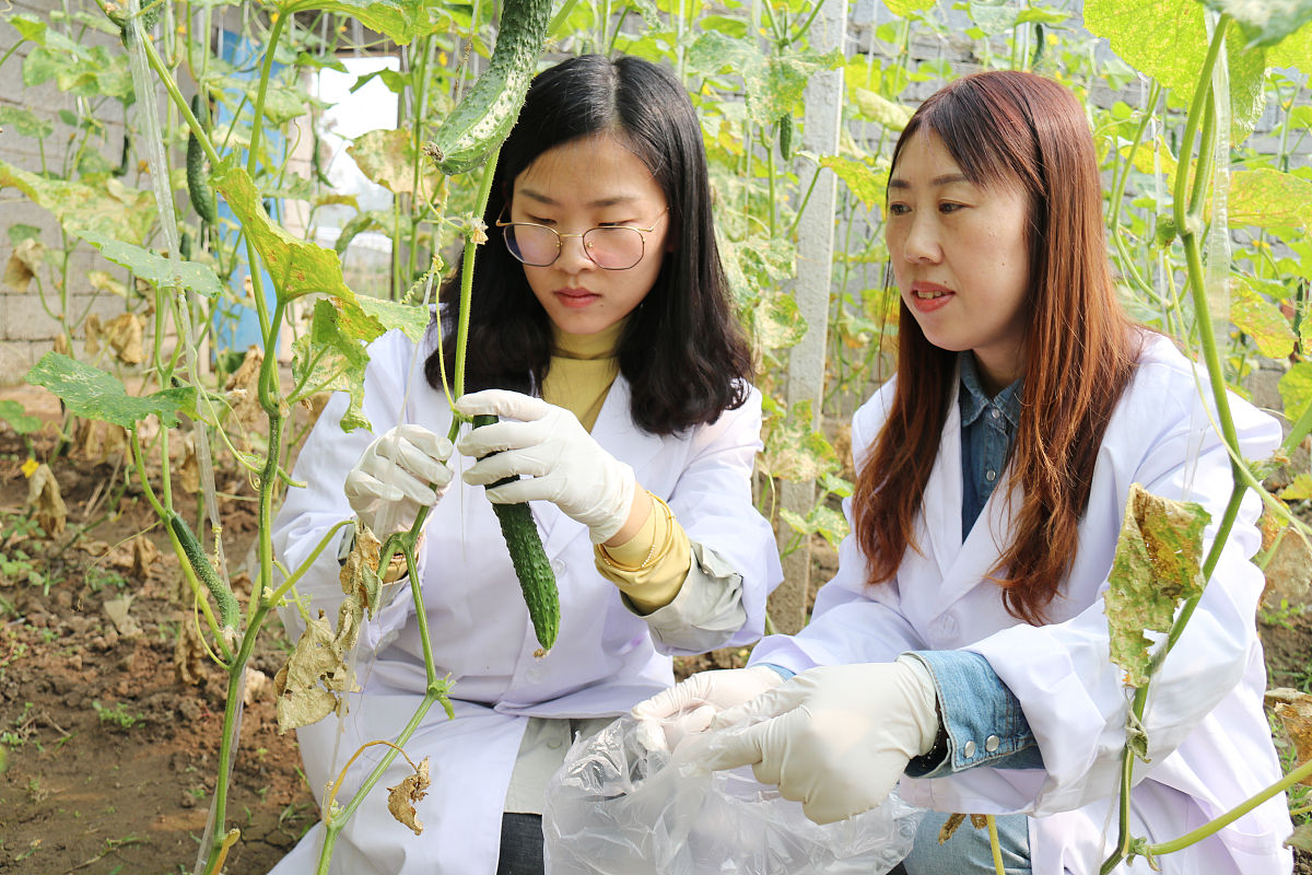 毕节同心农工中等职业技术学校中草药种植专业招生-培养中草药种植人才