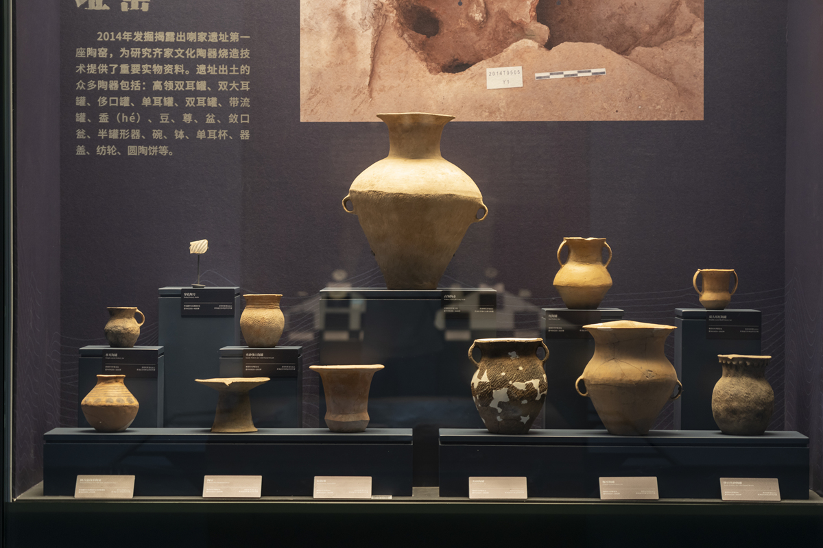 博物馆之旅，收获满满！